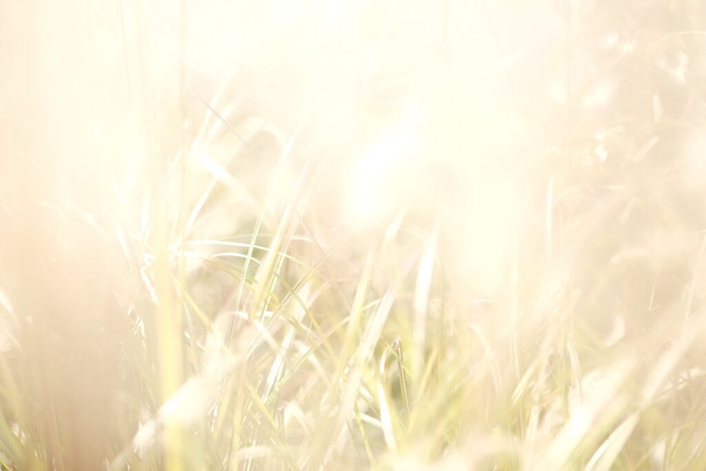 Filled with tenderness.